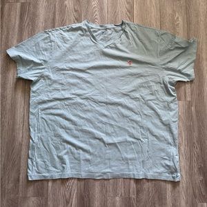 Light blue Ralph Lauren polo V neck t-shirt